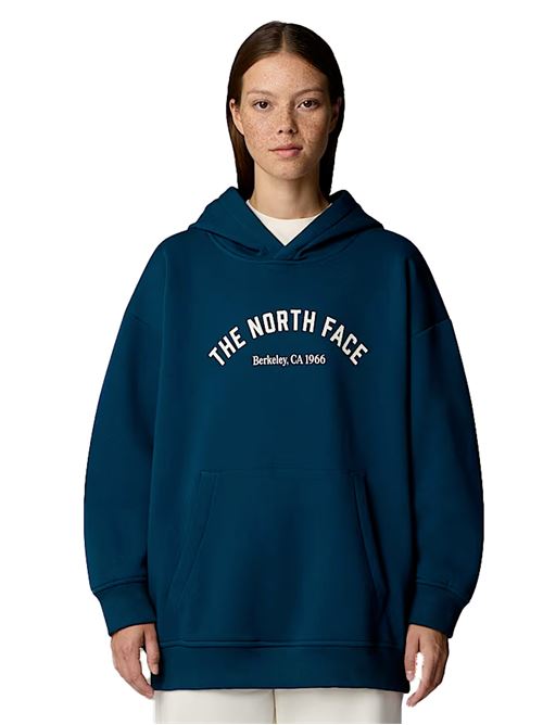 THE NORTH FACE Varsity Hoodie THE NORTH FACE | NF0A89CSQLI1